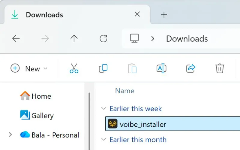 Run voibe_installer.exe from Downloads