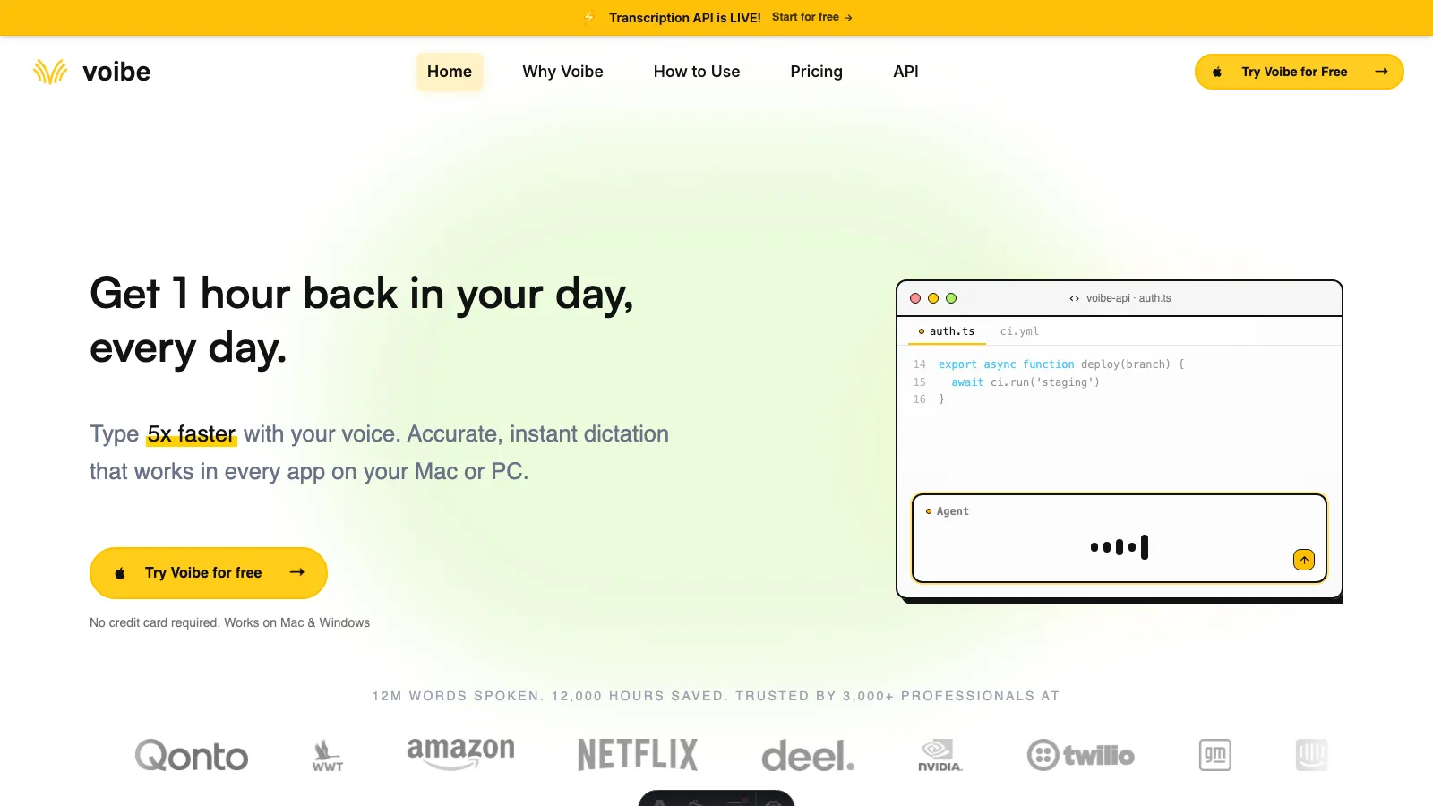 Voibe landing page showing voice dictation for Mac and Windows