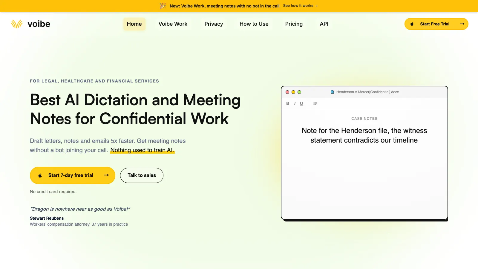 Current Voibe website showing private voice dictation for Mac and Windows