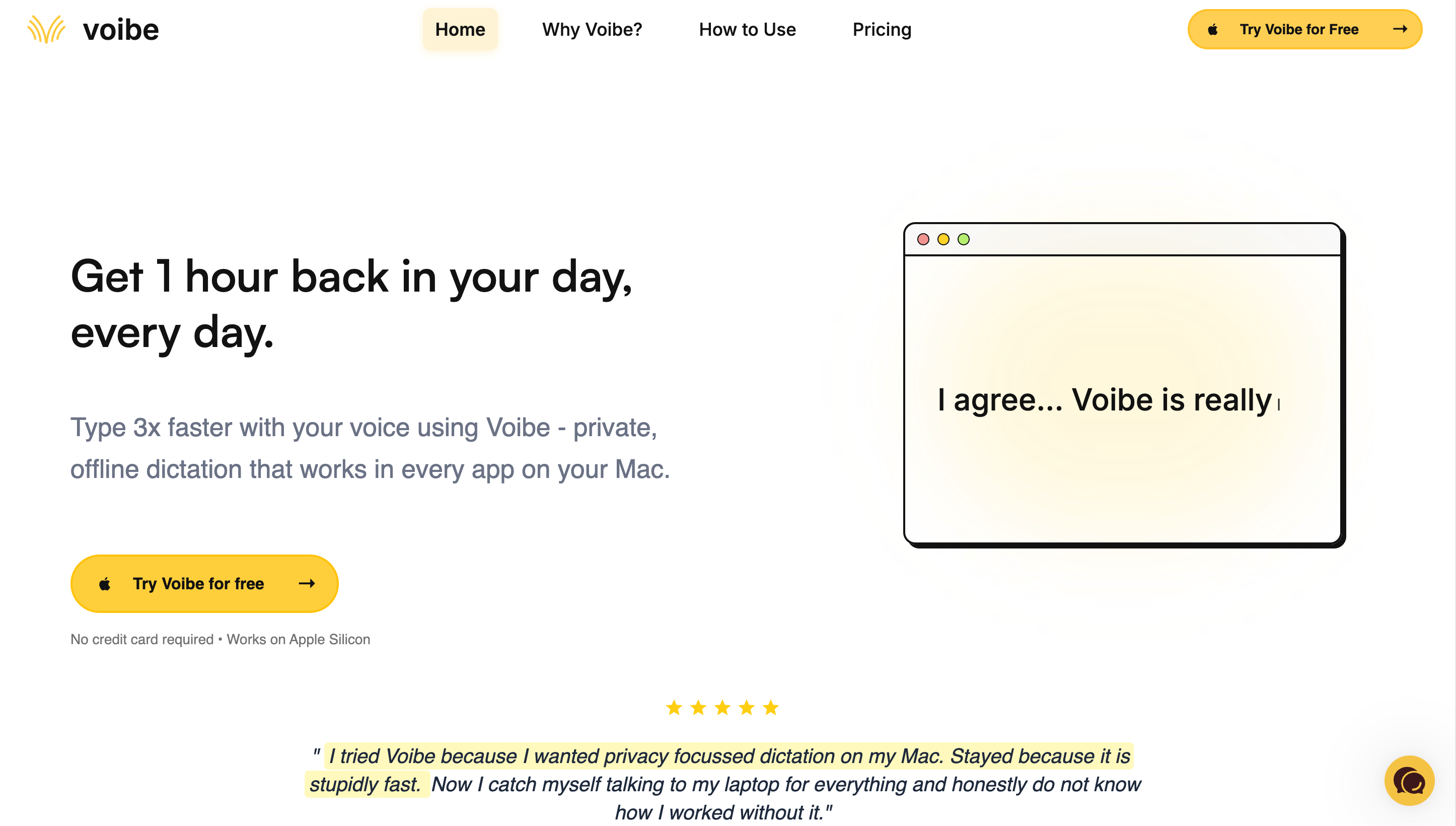 Voibe dictation app developer mode showing VS Code integration for voice coding